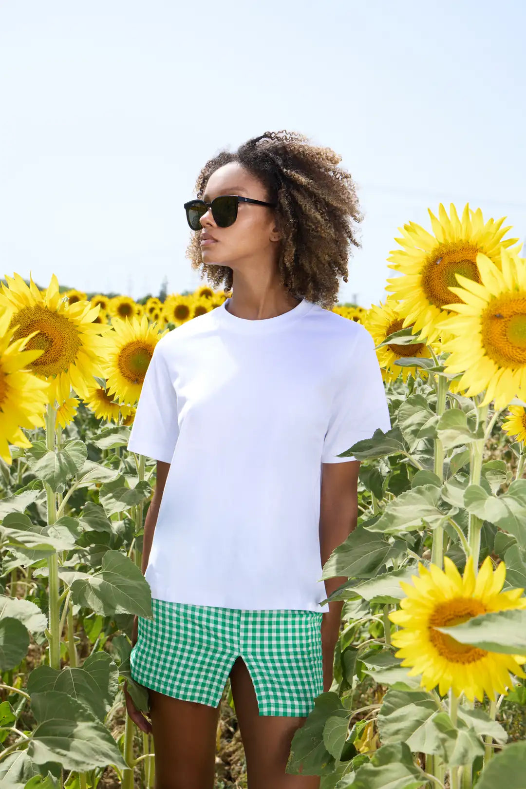 Yuvarlak Yaka T-Shirt